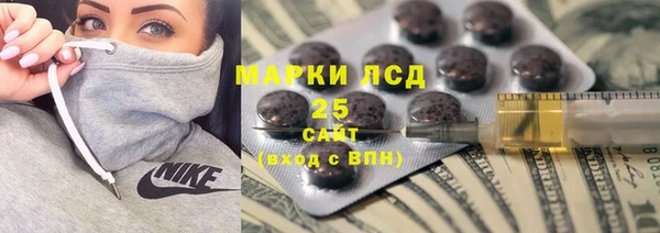 гашик Козельск