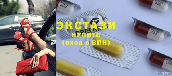 гашик Козельск