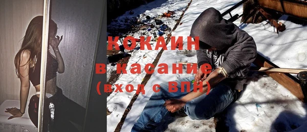 сатива Козловка
