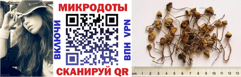 MEGA рабочий сайт  цена   Кинешма  Псилоцибиновые грибы GOLDEN TEACHER 