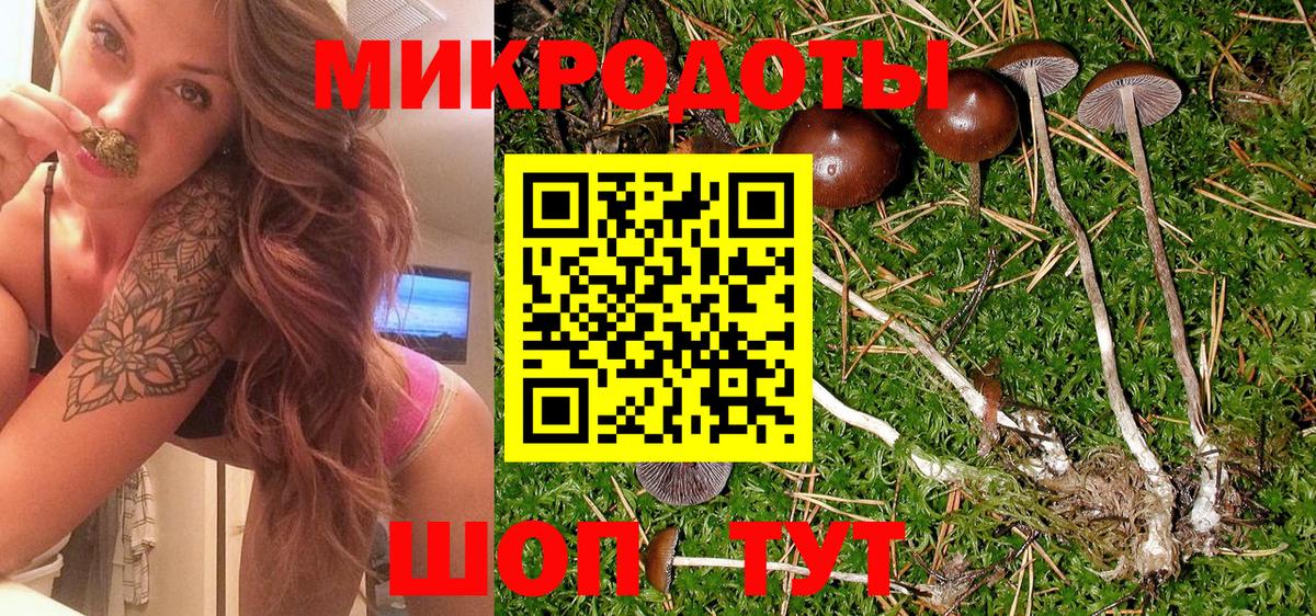 Галлюциногенные грибы Psilocybine cubensis  Галлюциногенные грибы ЛСД  где можно купить наркотик  Кинешма  Вход с VPN 