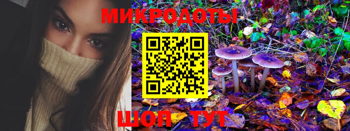 Псилоцибиновые грибы прущие грибы Кинешма
